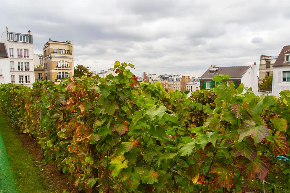 CEBP PARIS